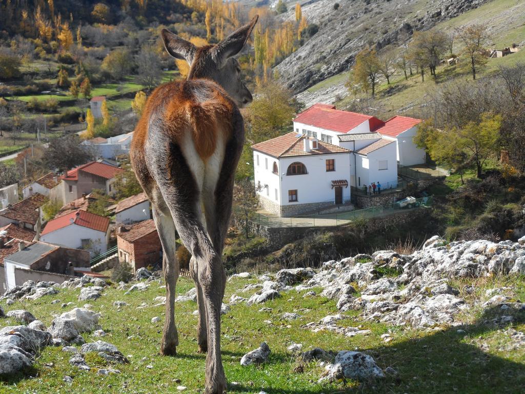 Casa Rural El Perchel Понтонес Стая снимка